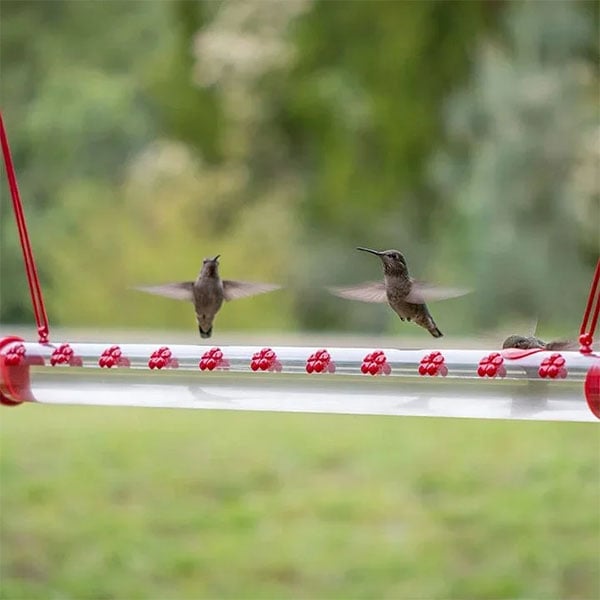 Flower Bar Hummingbird Feeder - Libiyi