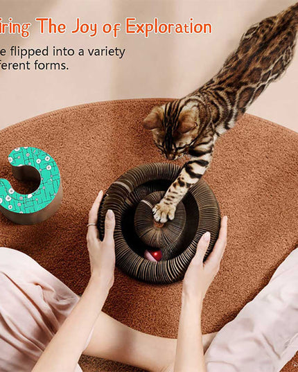 Libiyi Magic Organ Cat Scratch Board. - Libiyi