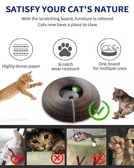 Libiyi Magic Organ Cat Scratch Board. - Libiyi