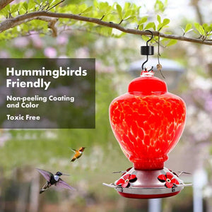 Hand Blown Glass Hummingbird Feeder  - 38 Ounces - Libiyi