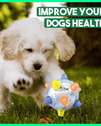 Libiyi™ Pet Ball  Endless Entertainment for Your Furry Friend! - Libiyi