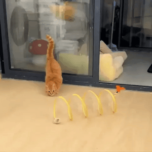 Cat Coil Spring Toy For Indoor Cats - Libiyi