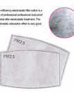 Extra PM2.5 Filters(1 Pack)